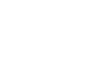 theslotsisland.com logo