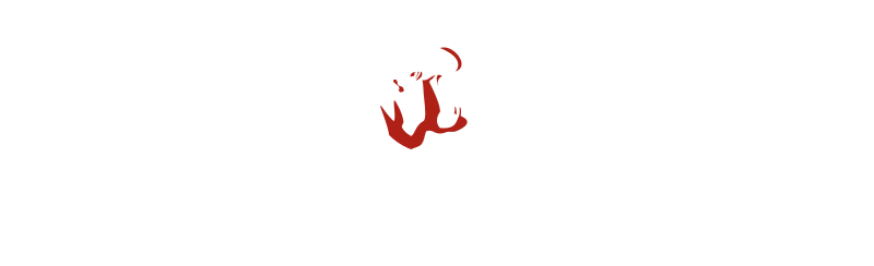 hippozino.com logo